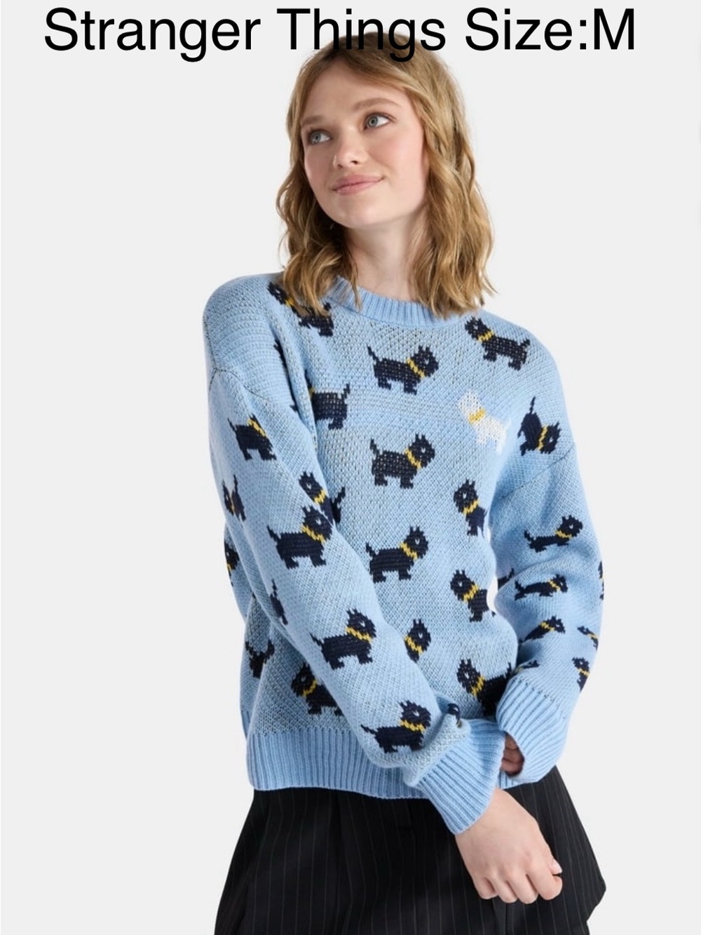 5/$30 Netflix Stranger Things Scottie Sweater Size M NWT